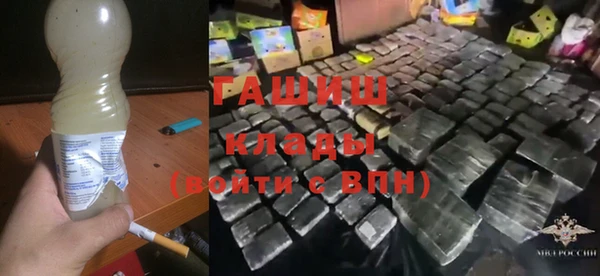 гашик Козельск