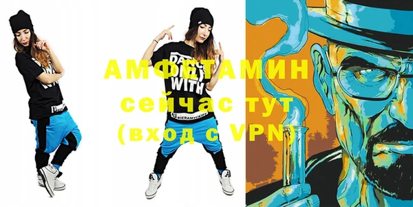 гашик Козельск